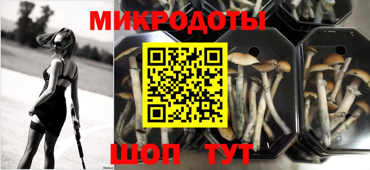 сколько стоит  Вход с VPN  Грязи  Псилоцибиновые грибы GOLDEN TEACHER 
